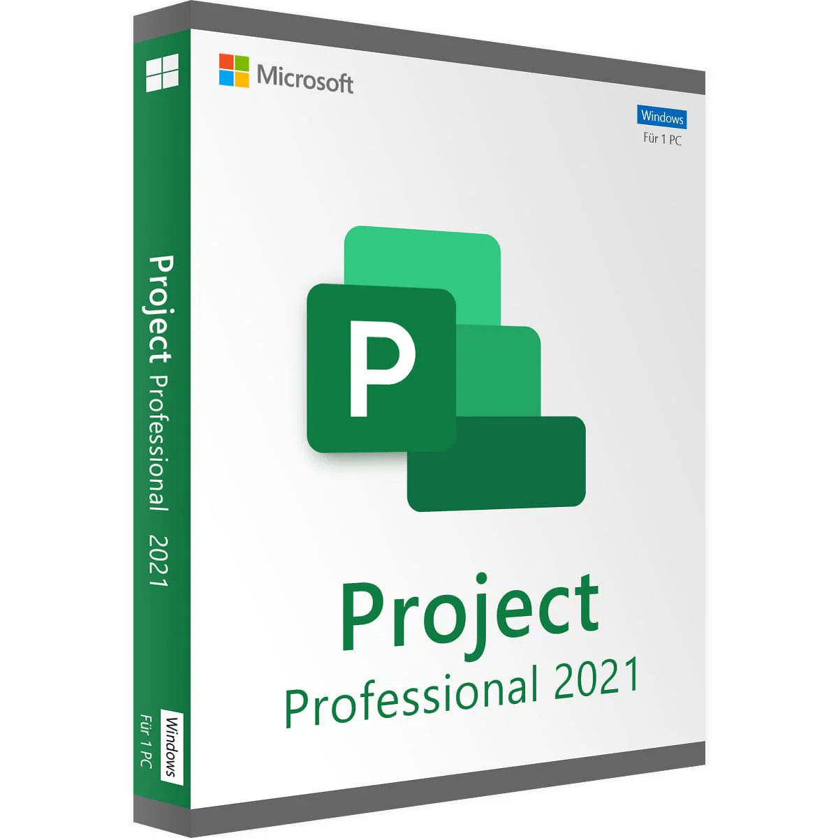 Projekt 2021 Professional